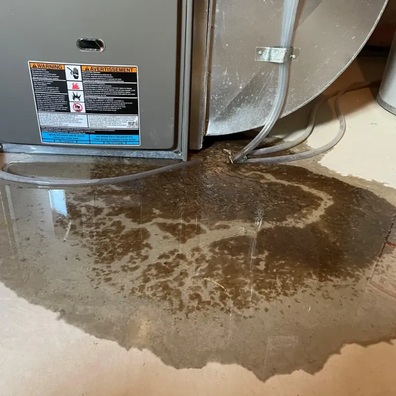 Appliance Leak Cleanup in Garrett Park, MD