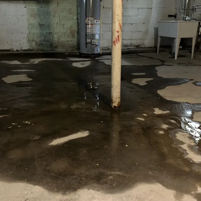 Emergency Water Extraction And Removal in Garrett Park, MD